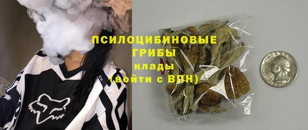 герыч Пересвет