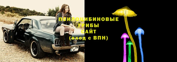 ECSTASY Пестово