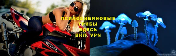 ECSTASY Пестово