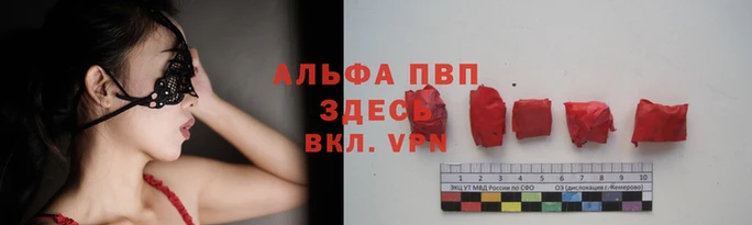 ECSTASY Пестово