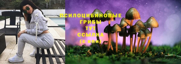ECSTASY Пестово