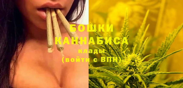 герыч Пересвет