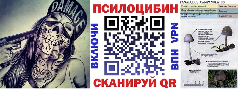Галлюциногенные грибы прущие грибы  Динская 